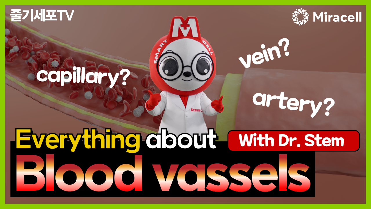 [StemcellTV] With Dr. Stem Ep.2_Everything about Blood vassels!